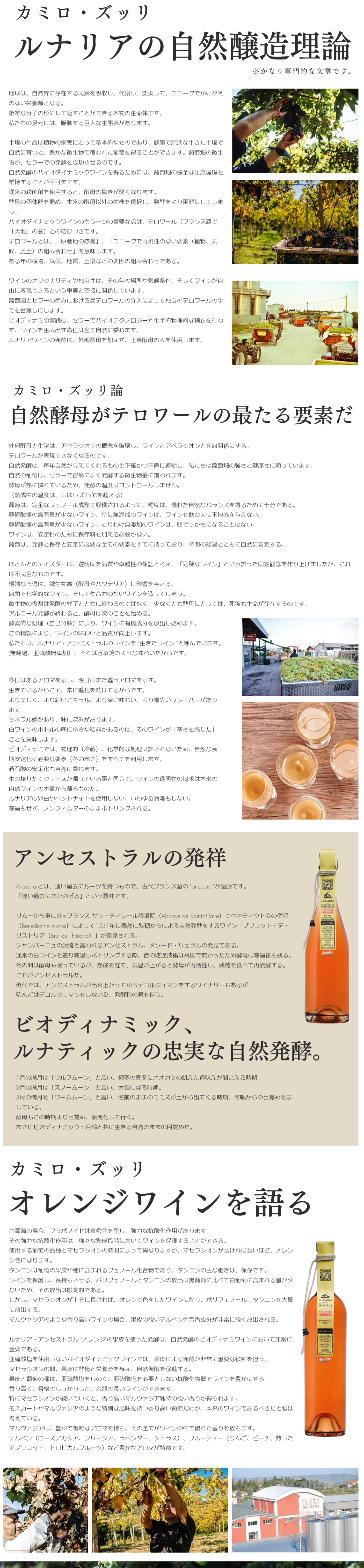 【オ―ストラリア2023年1ドル純銀貨】1オンス／ルナラビット／クリアケ―ス付き LUNASOL（ルナソル） 【数量限定】ラディアントドロップの通販